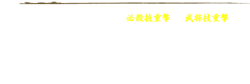 さらに上記スキルの他、特殊技能の「必殺技重撃」と「武将技重撃」を同時実装！ひとたび技能を覚えれば、強敵にも渾身の一撃を与える事が可能です。強力且つバリエーション豊かな新技能が一挙に登場するアップデート、これまで以上に圧倒的な強さを手に入れることも夢ではありません。